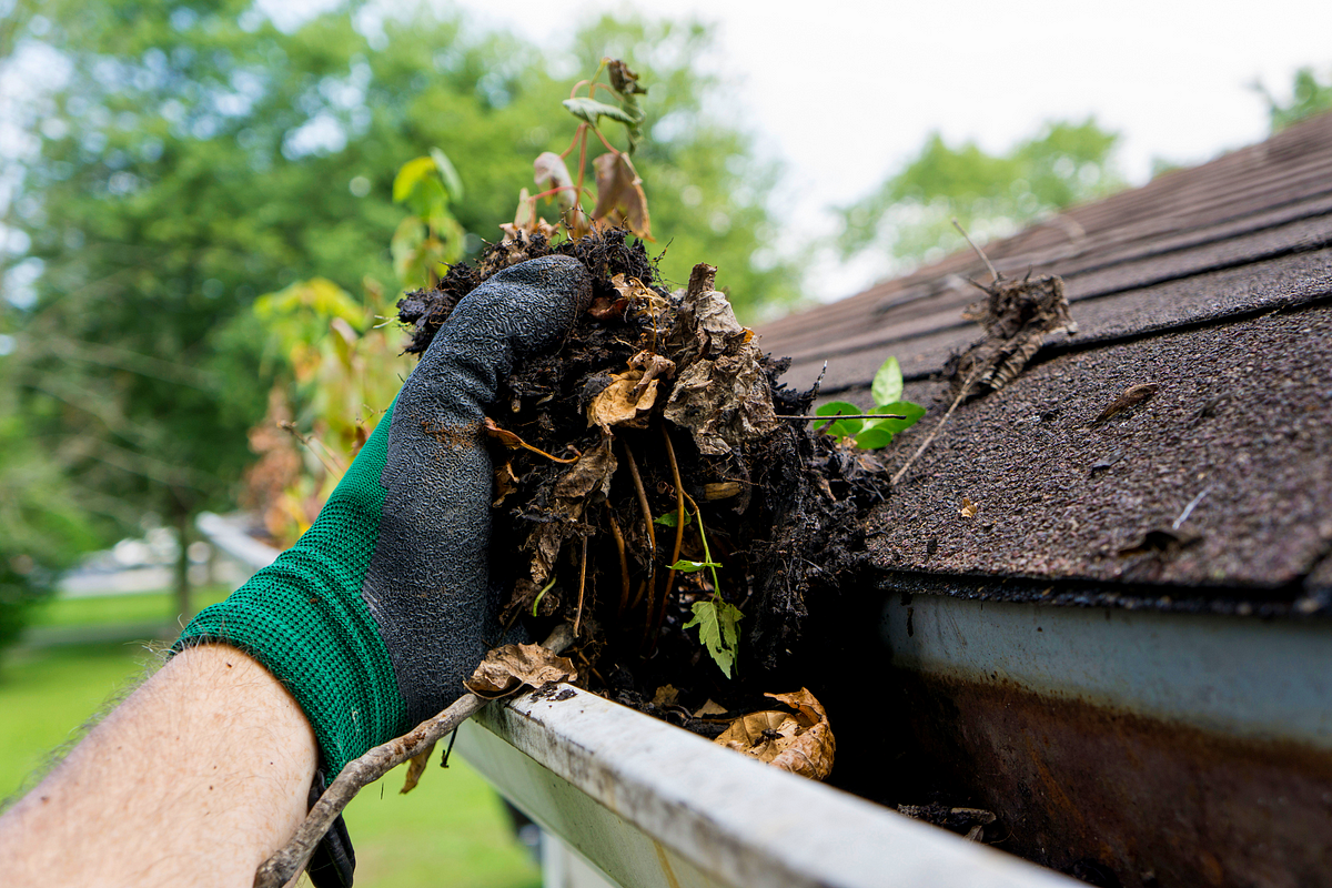 Gutter Cleaning DFW