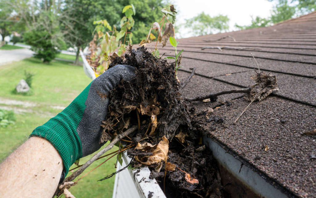 Gutter Cleaning DFW